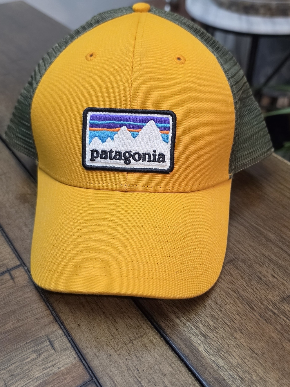 Patagonia Golden Yellow and Olive Trucker Hat